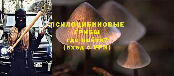 гидропоника Балабаново