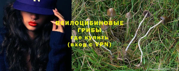 spice Балахна
