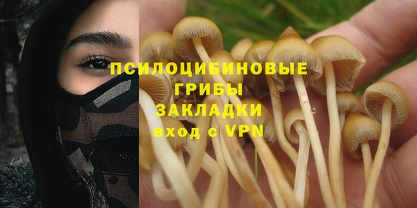 гидропоника Балабаново