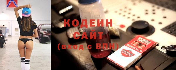 индика Баксан