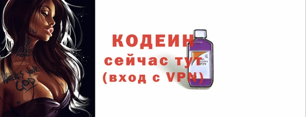 индика Баксан