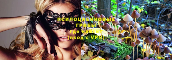 индика Баксан