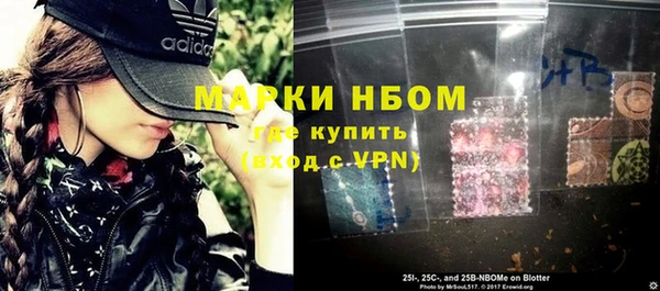 индика Баксан
