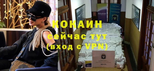 индика Баксан