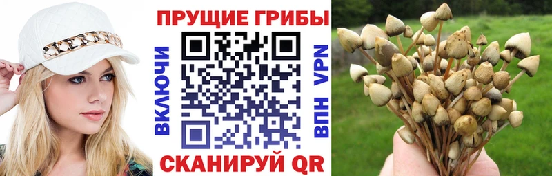 Галлюциногенные грибы мицелий  как найти   Белёв 